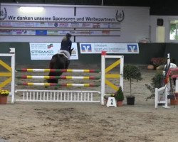 jumper Claudio 23 (KWPN (Royal Dutch Sporthorse), 2007, from Namelus R)