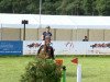 jumper Quick as Lightning (Oldenburg show jumper, 2008, from Quintender 2)