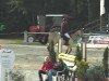 jumper Lenti (Hungarian Warmblood, 2008, from Leonce)