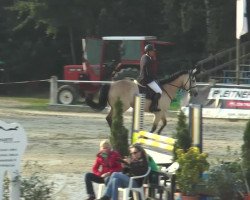 jumper Lenti (Hungarian Warmblood, 2008, from Leonce)