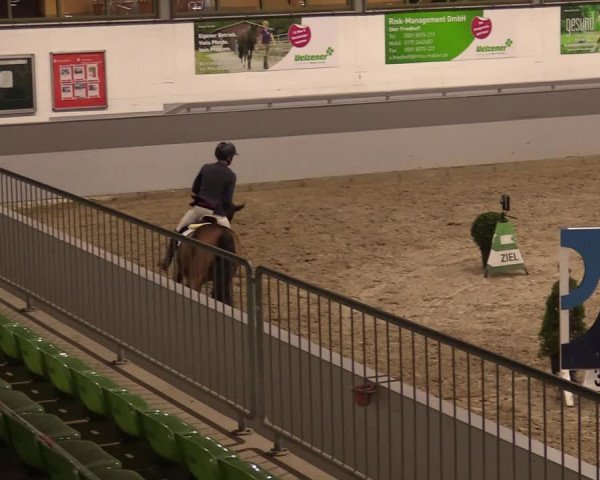 Reitturnier Luhmühlen 2020