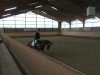 dressage horse Bonny M 4 (Westphalian, 2008)