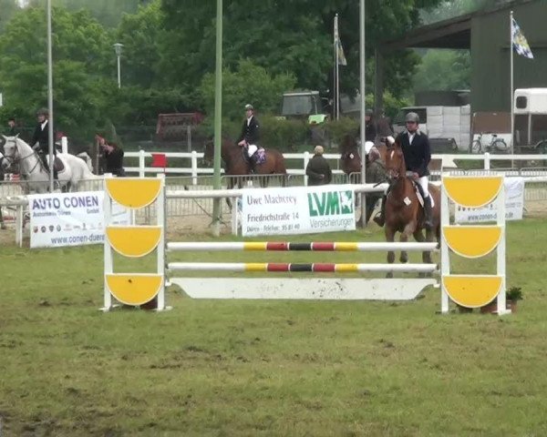 jumper Carlos von Hary (Belgian Warmblood,  )