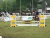 jumper Carlos von Hary (Belgian Warmblood,  )