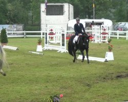 jumper Santana Von Hary Z (Zangersheide riding horse, 2009, from Sir Shutterfly)