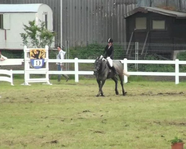 Springpferd Elektra 160 (Rheinländer, 2009)