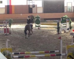 broodmare Batida de Coco 59 (Oldenburg show jumper, 2007, from Balou du Rouet)