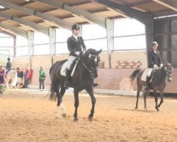 dressage horse Nele van Nagano (KWPN (Royal Dutch Sporthorse), 2004, from Nagano)