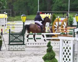 dressage horse Belle Fleur 41 (Pony without race description, 2008)