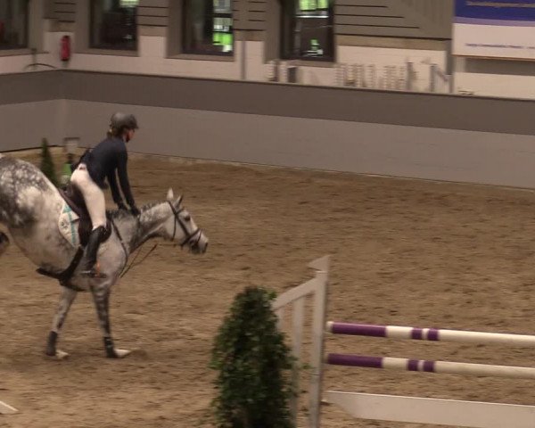 Reitturnier Luhmühlen 2020
