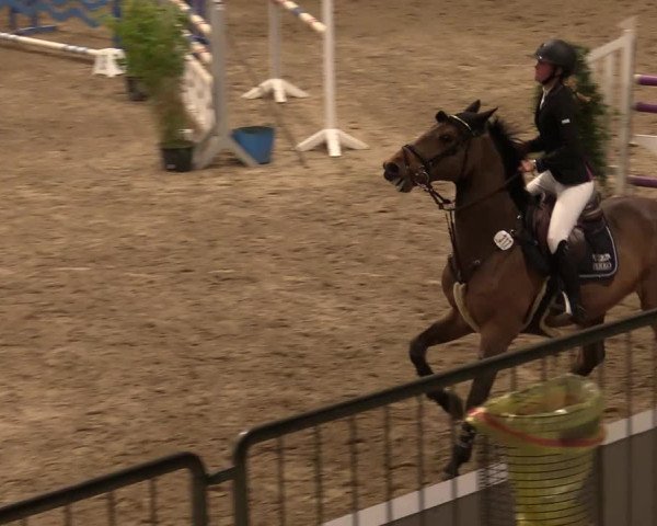 Reitturnier Luhmühlen 2020
