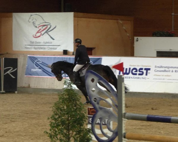 Reitturnier Gut Winkelacker/Obb. 2020