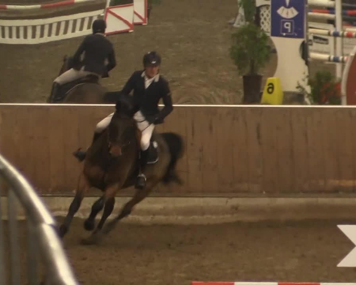 jumper Con Air 31 (Holsteiner, 2007, from Chello II)
