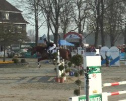 dressage horse Four Socks 8 (Hanoverian, 2009, from Florestan I)