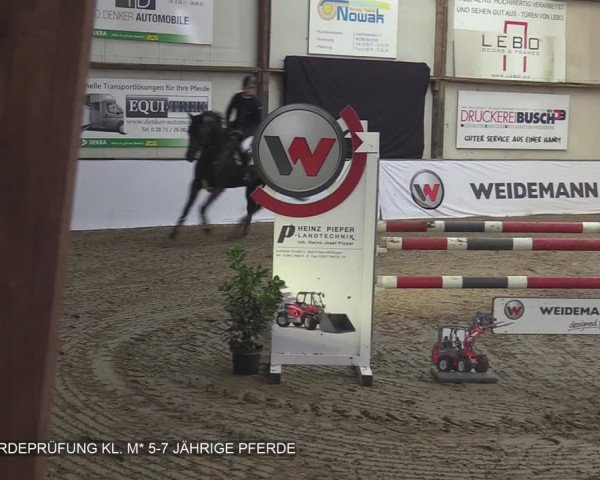 Reitturnier Barlo-Bocholt 2020