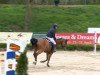 jumper Quilly (Oldenburg show jumper, 2006, from Quidam de Revel)