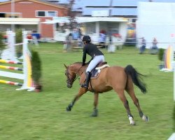 jumper Tabasco (Oldenburg show jumper, 2007, from Con Air)