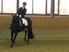 dressage horse Rhythm Divine M (Hanoverian, 2009, from Rubinero 2)