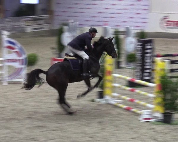 Reitturnier Negernbötel 2020, 3. Nordic Jumping event 2020/2021