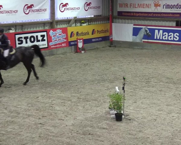Reitturnier Negernbötel 2020, 3. Nordic Jumping event 2020/2021