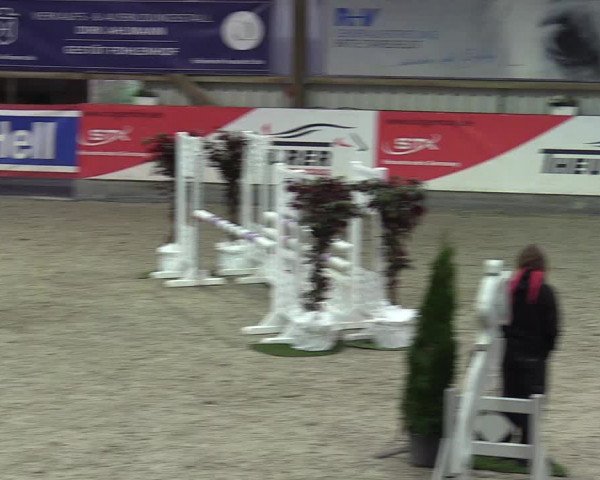 Reitturnier Negernbötel 2020, 3. Nordic Jumping event 2020/2021