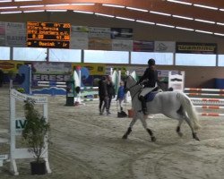 jumper Hazel 46 (Hanoverian,  )