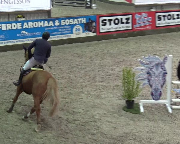 Reitturnier Negernbötel 2020, 3. Nordic Jumping event 2020/2021