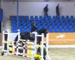 jumper Danza Kuduro (KWPN (Royal Dutch Sporthorse), 2008, from Lennard)