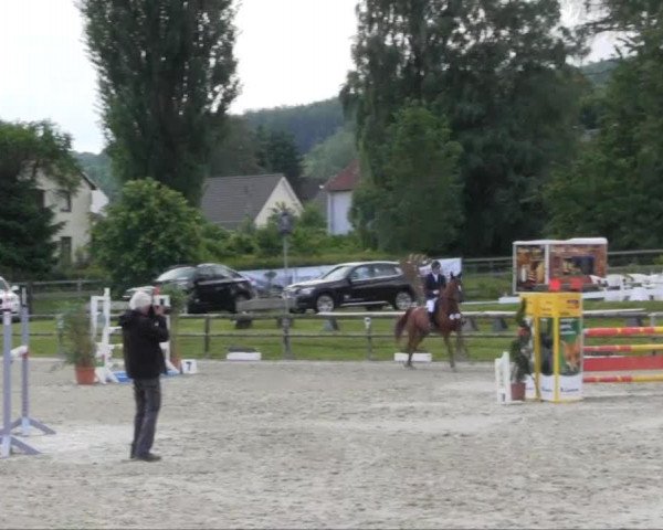 jumper Cara 161 (German Sport Horse, 2008, from Canterbury)
