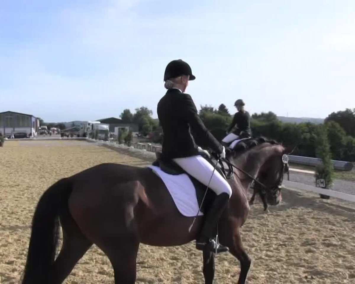 broodmare Rhevana (Oldenburg, 2009, from Spielberg)