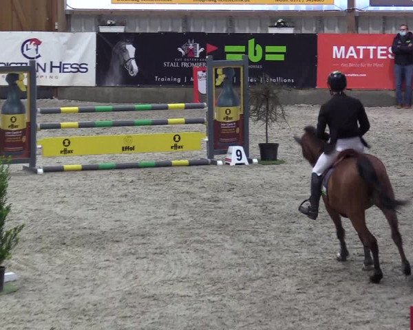 Reitturnier Negernbötel 2020, 3. Nordic Jumping event 2020/2021