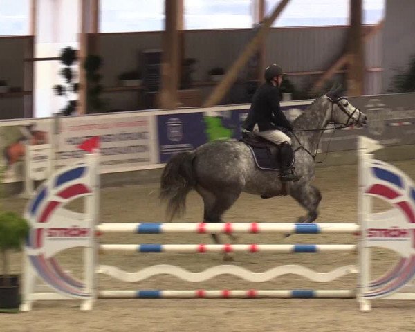 Reitturnier Negernbötel 2020, 3. Nordic Jumping event 2020/2021