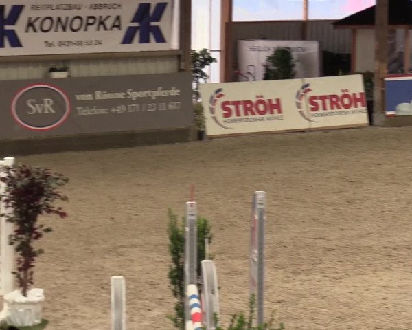 Reitturnier Negernbötel 2020, 3. Nordic Jumping event 2020/2021