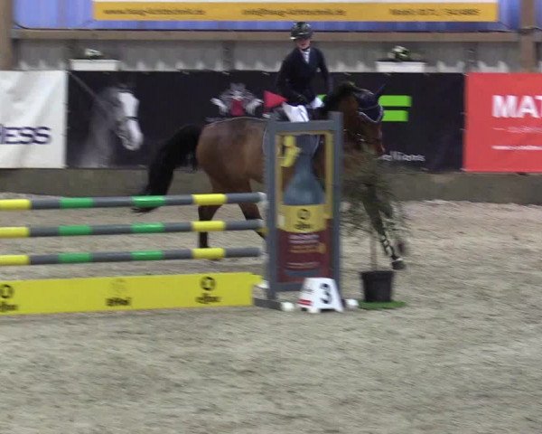 Reitturnier Negernbötel 2020, 3. Nordic Jumping event 2020/2021
