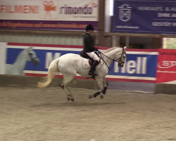 Reitturnier Negernbötel 2020, 3. Nordic Jumping event 2020/2021