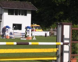 dressage horse Carlo (Holsteiner, 2009, from C-Trenton Z)