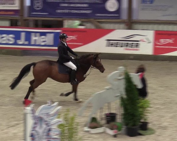 Reitturnier Negernbötel 2020, 3. Nordic Jumping event 2020/2021