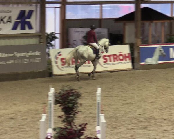 Reitturnier Negernbötel 2020, 3. Nordic Jumping event 2020/2021
