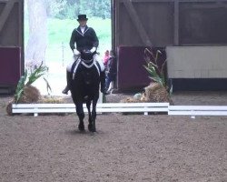 dressage horse Elektra K 2 (Württemberger, 2005, from Epikur)