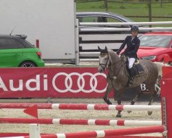 jumper Martha 32 (Oldenburg, 2008, from Champions League 3)