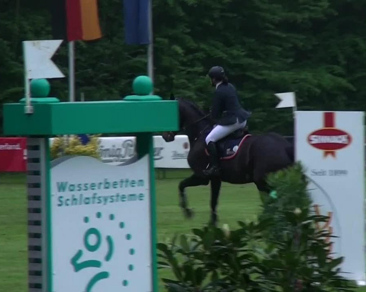 jumper Quinlouette (Oldenburg, 2007, from Quintender 2)