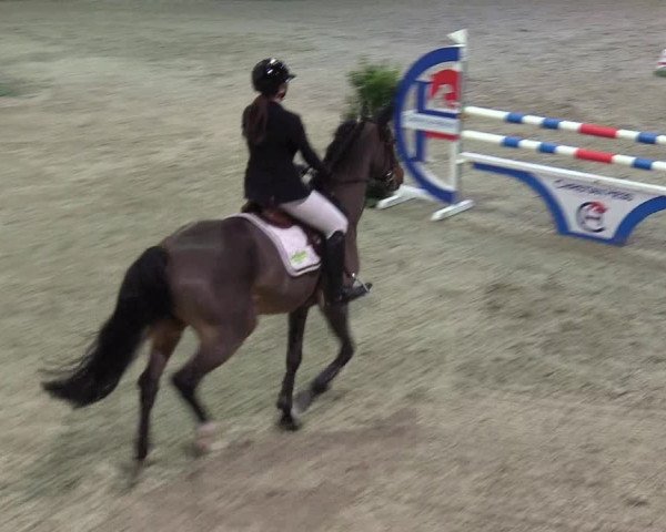 Reitturnier Negernbötel 2020, 3. Nordic Jumping event 2020/2021