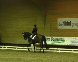 dressage horse Lovento (Hanoverian, 2002, from Likoto xx)