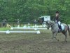 Dressurpferd Diamond's Doolittle (Deutsches Reitpony, 2008, von Dein Sunnyboy)