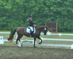 dressage horse Baroness 354 (Westphalian, 2008, from Beltoni)