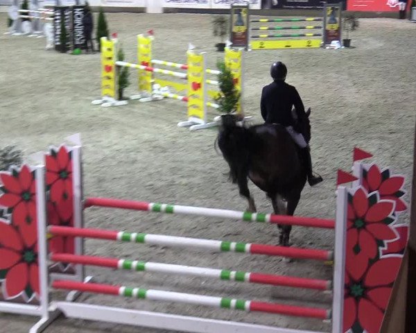 Reitturnier Negernbötel 2020, 3. Nordic Jumping event 2020/2021
