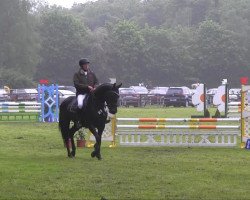 jumper Chiara TH (Hanoverian,  , from Carlucci 13)