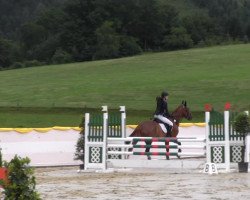 horse Lanbada 2 (Czech Warmblood, 2007, from Ballast)