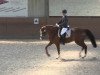 dressage horse Delilah 45 (Hanoverian, 2007, from Don Romantic)