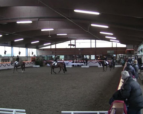 dressage horse Waret la Jo (KWPN (Royal Dutch Sporthorse), 2003, from Flemmingh)